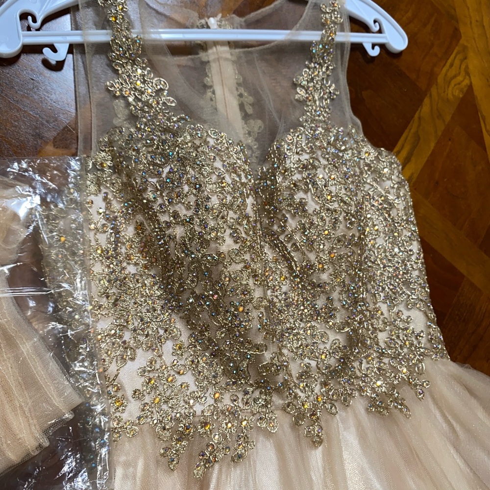 Gold Sequence Dama Dress View 4